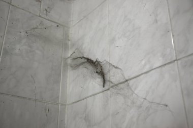 Toz, antihieginik ve terk edilmiş duvar üzerinde örümcek ağı