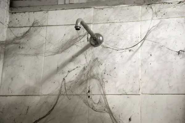 Örümcek Ağları Hijyenik Banyo Ile Kirli Duş — Stok fotoğraf