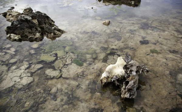 Vattenvågor Havet Naturliga Landskap Och Semester — Stockfoto