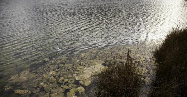 Vattenvågor Havet Naturliga Landskap Och Semester — Stockfoto