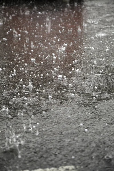 Lluvia en el suelo — Foto de Stock