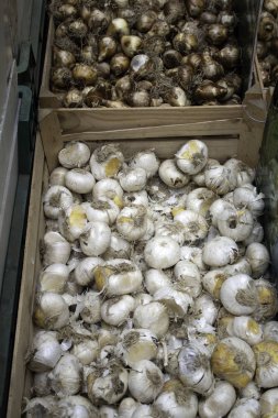 Bir market, ayrıntı bitkiler ve tohumlar ampuller