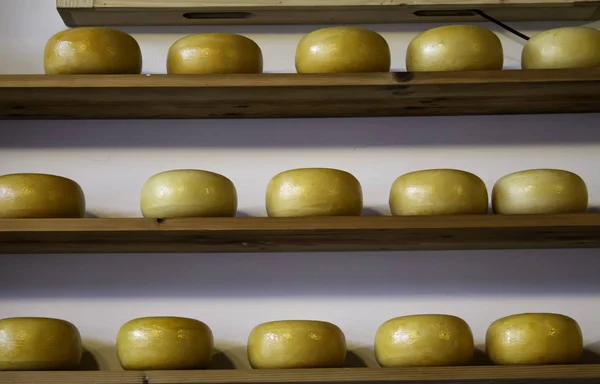 Ремесленный Сыр Эдам Детали Производства Голландского Сыра — стоковое фото