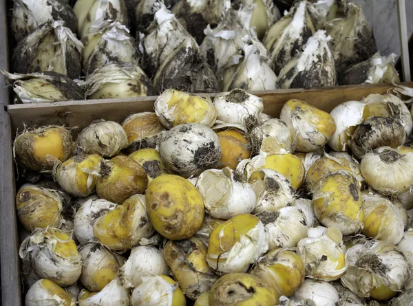 Zwiebeln Auf Dem Markt Details Von Pflanzen Und Samen — Stockfoto