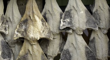 Salted cod in fish, food and business