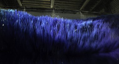 Endüstriyel araba yıkama, hijyen ve araç temizliği.