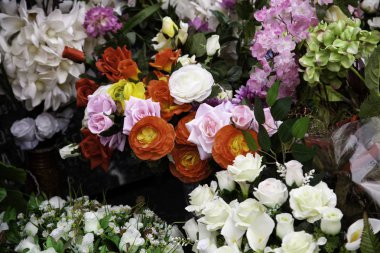 Bahçede çiçekler, manzara ve doğa