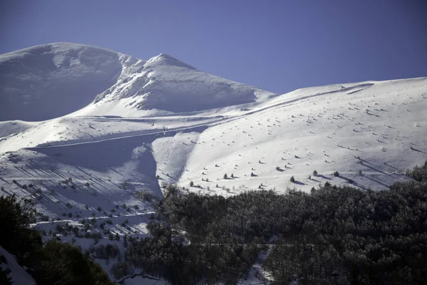 山の森林 自然とクリスマスの自然雪 — ストック写真