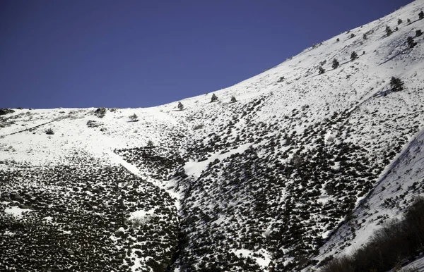Neve Natural Floresta Montanha Natureza Natal — Fotografia de Stock