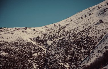 Doğal karda dağ orman, doğa ve Noel