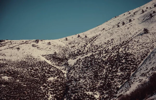 Doğal karda dağ orman, doğa ve Noel