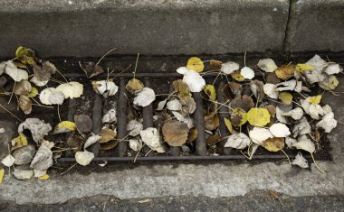 Sonbahar yaprakları toprak, Doğa ve çevre