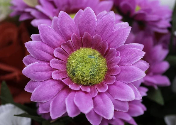 Zentrum Der Handgefertigten Blumen Gänseblümchen Natur Und Romantische Dekoration — Stockfoto