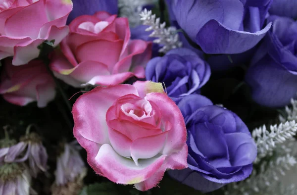 Fräsch Och Väldoftande Rosor Detalj Romantik Och Kärlek — Stockfoto