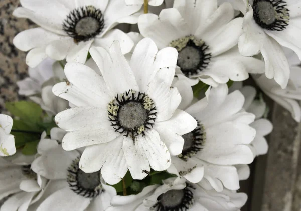 Zentrum Der Handgefertigten Blumen Gänseblümchen Natur Und Romantische Dekoration — Stockfoto