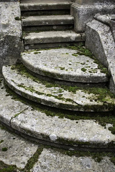 Каменная Лестница Мхом Строительством Архитектурой — стоковое фото