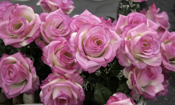 Rosas Frescas Fragantes Detalle Romanticismo Amor —  Fotos de Stock