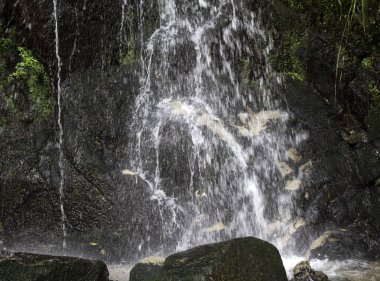 Su cascade dağ taş, vahşi doğa