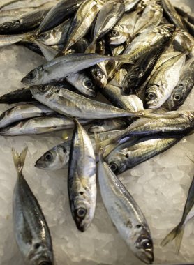 Sardalya balık sayaç gıda, Pazar