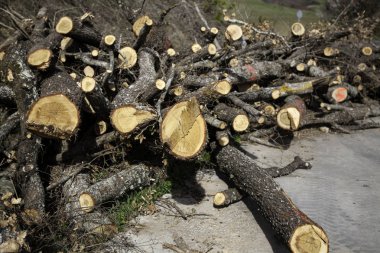 Yangın ahşap günlükleri