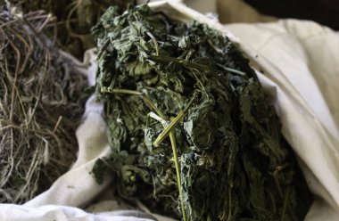 Tıbbi ve şifa otlar