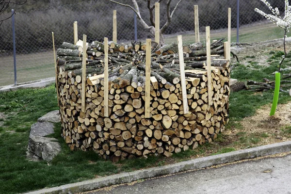 Stacked wood logs — Stock Photo, Image