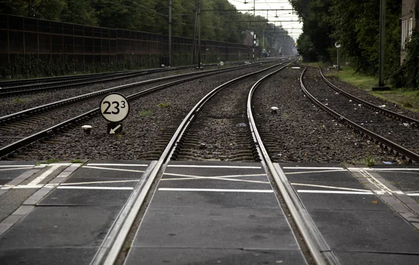 Tåg skenor station — Stockfoto