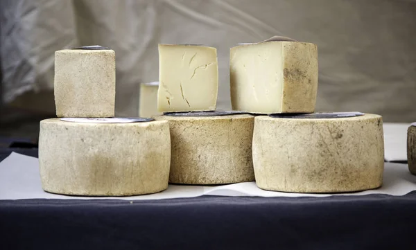 シート硬化チーズ — ストック写真