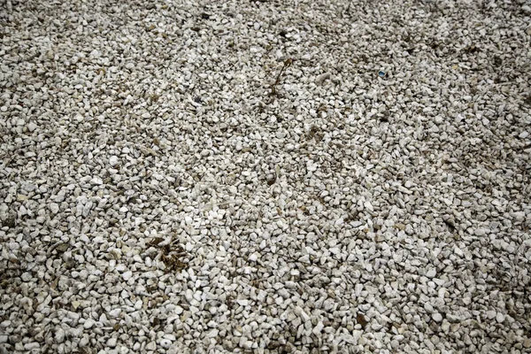 Witte stenen natuur — Stockfoto