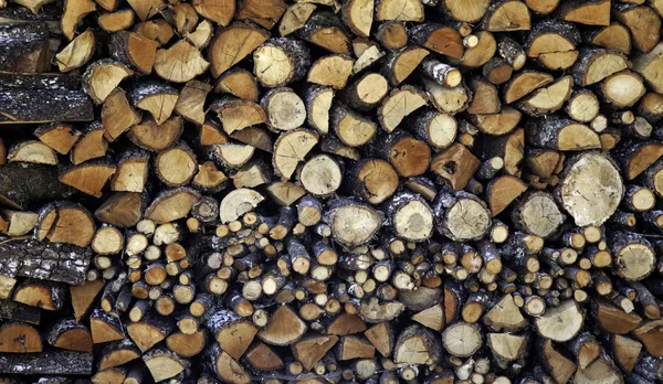 Troncos apilados madera —  Fotos de Stock