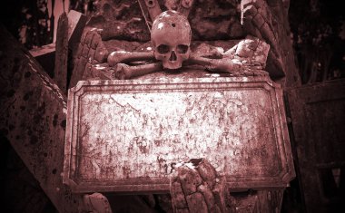 insan kafatası kafa