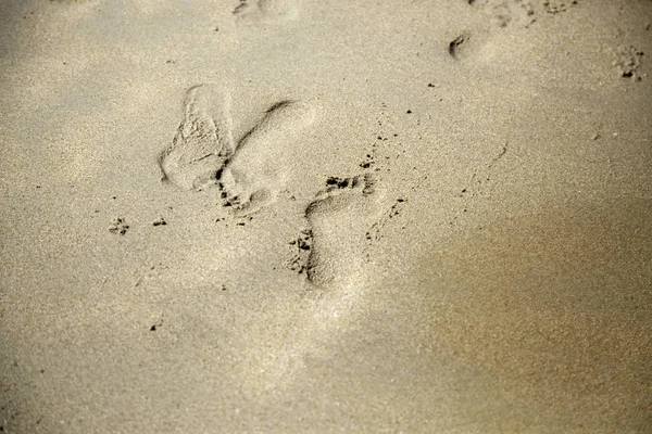 Pegadas na praia — Fotografia de Stock