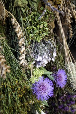 Otlar ve şifalı bitkiler