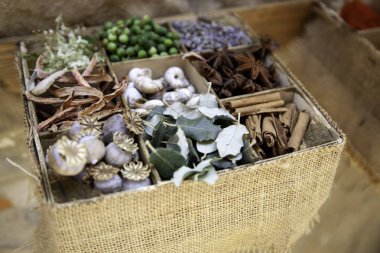 Otlar ve şifalı bitkiler