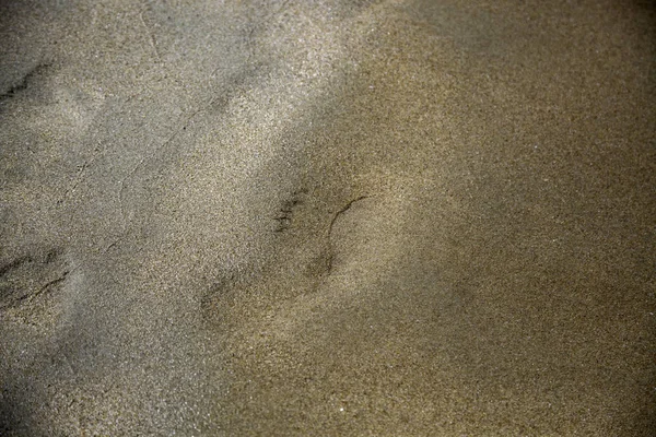 Fußabdrücke am Strand — Stockfoto