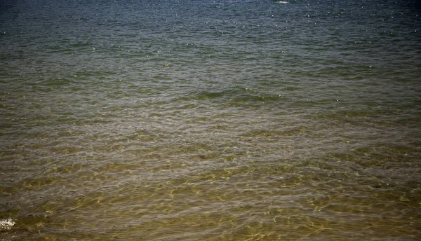 パラダイスビーチサマー — ストック写真