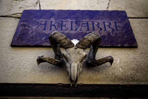 Indian goat skull — Stock Photo, Image