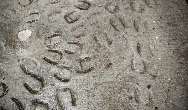 Horseshoe footprint — Stock Photo, Image