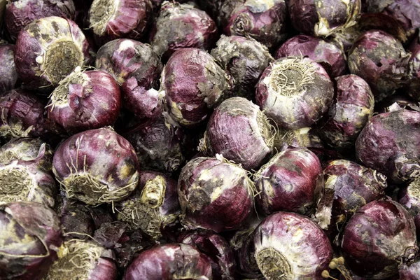 Glühbirnen auf einem Markt — Stockfoto