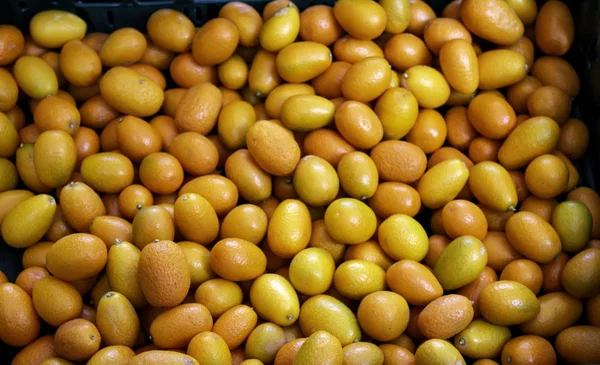 Oranges sur le marché — Photo