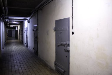 Cezaevi hapishanesi