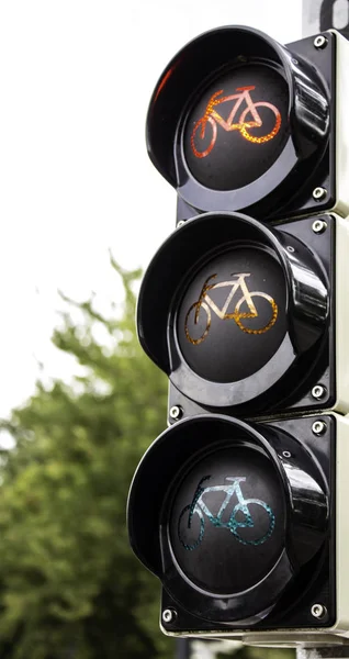 Bicycle traffic light — Stock Photo, Image