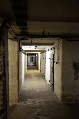 Cezaevi hapishanesi