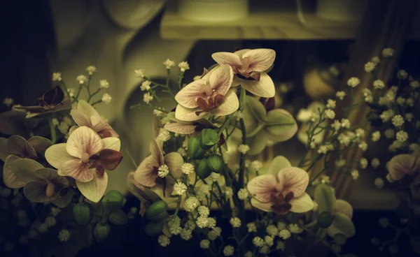 Rosas frescas e perfumadas — Fotografia de Stock