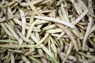 Pazarda yeşil fasulye