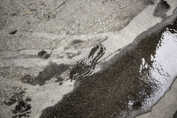 Footprint on wet  street — Stock Photo, Image