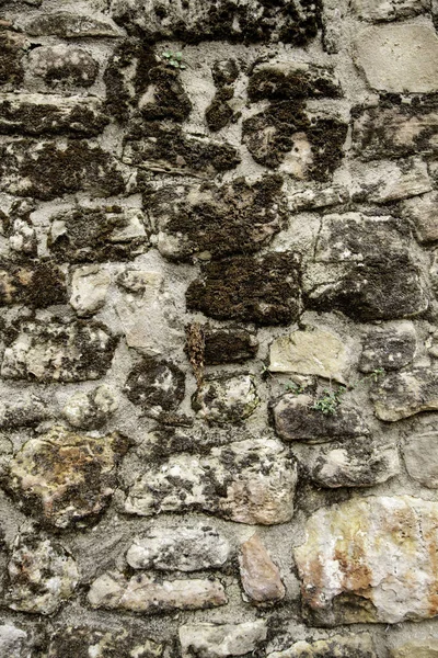 Steinmauer — Stockfoto