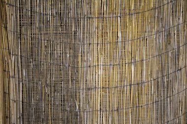 Bambu duvar