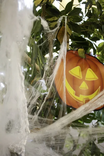 Pumpkin and cobwebs — Stock Photo, Image