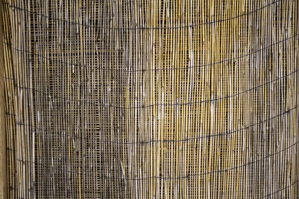 Bamboo wall — Stock Photo, Image